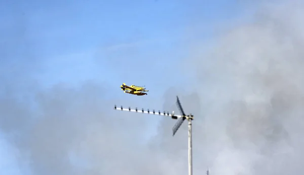 Požár Parc Kolserola Června 2016 Barcelona Catalunya Španělsko Evropa — Stock fotografie