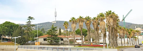 Garden Roundabouts Beltway Barcelona Catalunya Spain Europe — Stock Photo, Image