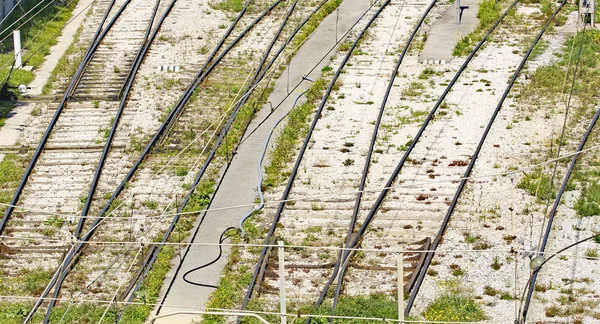 Trens Trilhas Catenária Nas Oficinas Ferroviárias Barcelona Julho 2016 Catalunha — Fotografia de Stock