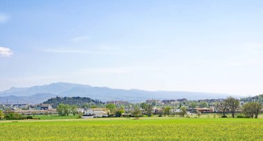 Osona bölgesinde haşhaş ve kolza tohumu tarlaları, öğlen 12: 45. ; 16 Ağustos 2016; Barselona, Katalunya, İspanya, Avrupa