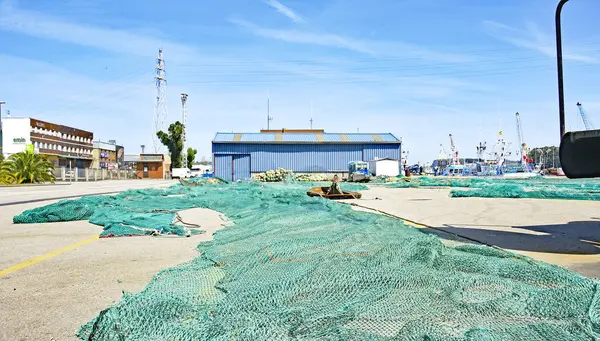 Filets Outils Pêche Dans Port Aviles Mai 2015 Principauté Des — Photo