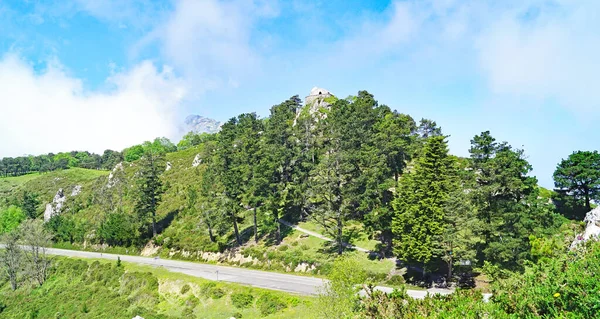 Sierra Sueve Parque Natural Del Ponga Mayo 2018 Principado Asturias — Foto de Stock