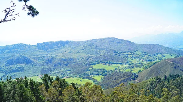 Sierra Sueve Naturpark Ponga Uhr Mai 2018 Fürstentum Asturien Asturien — Stockfoto