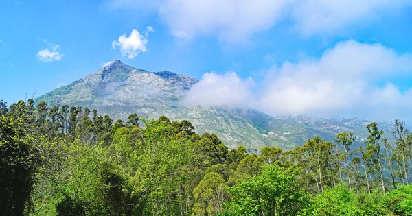 Sierra Sueve Parque Natural Ponga Maio 2018 Principado Das Astúrias — Fotografia de Stock