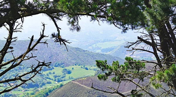 Picos Europa Uhr Mai 2018 Fürstentum Asturien Asturien Spanien Europa — Stockfoto