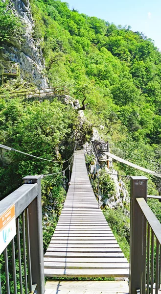 Los Beyos Ponga Gorge Květen 2018 Asturské Knížectví Asturie Španělsko — Stock fotografie