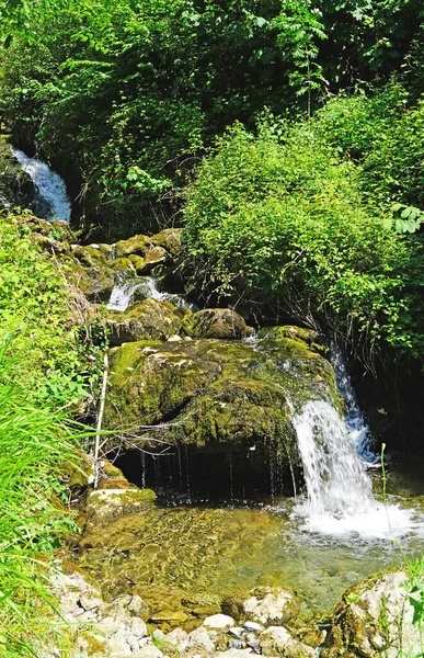 Los Beyos Ponga Boğazı Mayıs 2018 Asturias Prensliği Spanya Avrupa — Stok fotoğraf