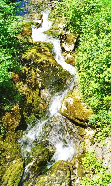 Los Beyos Ponga Gorge May 2018 Principality Asturias Asturias Spain — Stock Photo, Image