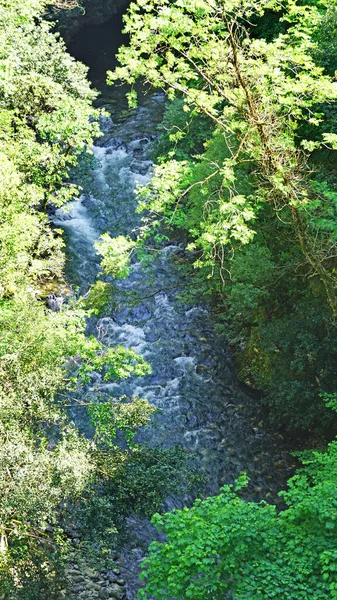 Los Beyos Ponga Gorge Май 2018 Княжество Астурия Астурия Испания — стоковое фото