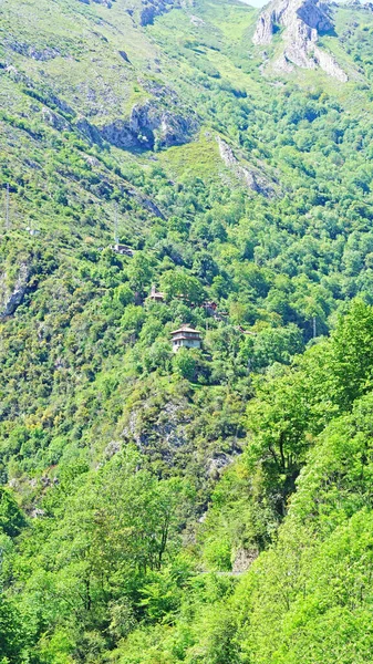 Garganta Los Beyos Ponga Mayo 2018 Principado Asturias Asturias España —  Fotos de Stock