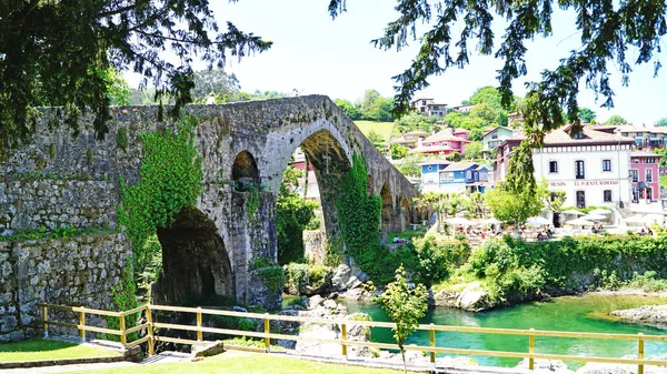 Paisaje Cangas Onis Mayo 2018 Principado Asturias Asturias España Europa — Foto de Stock