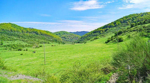 Burn Mayo 2018 Paisaje Provincia Len Picos Europa Comunidad Autónoma — Foto de Stock