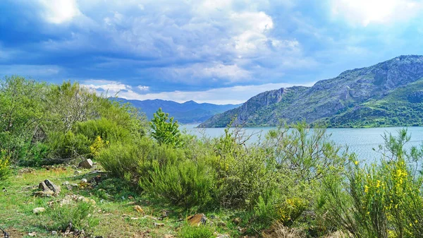 Riao Riano Maio 2018 Paisagem Província Len Picos Europa Comunidade — Fotografia de Stock