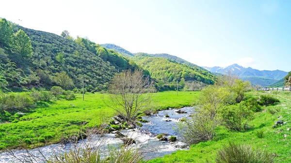 Rio Orza Paisagem Dos Picos Europa Maio 2018 Província Len — Fotografia de Stock