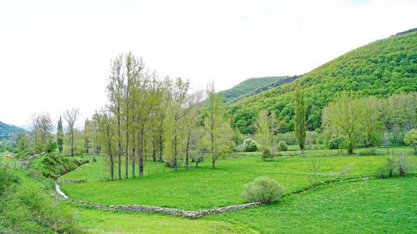 Panoramisch Uitzicht Het Asturische Landschap Juni 2017 Vorstendom Asturië Asturië — Stockfoto