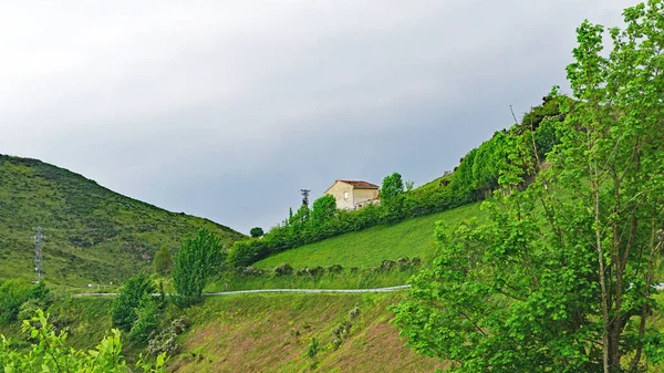 Panorámica Del Paisaje Asturiano Junio 2017 Principado Asturias Asturias España — Foto de Stock