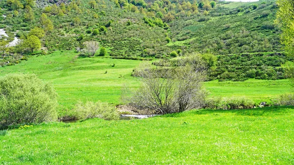 Paisagem Com Rio Esla Junho 2017 Principado Das Astúrias Astúrias — Fotografia de Stock