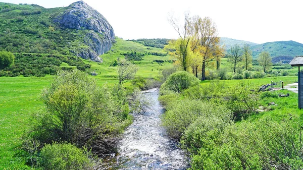 Park Naturalny Redes Godz Czerwca 2018 Asturia Księstwo Asturii Hiszpania — Zdjęcie stockowe