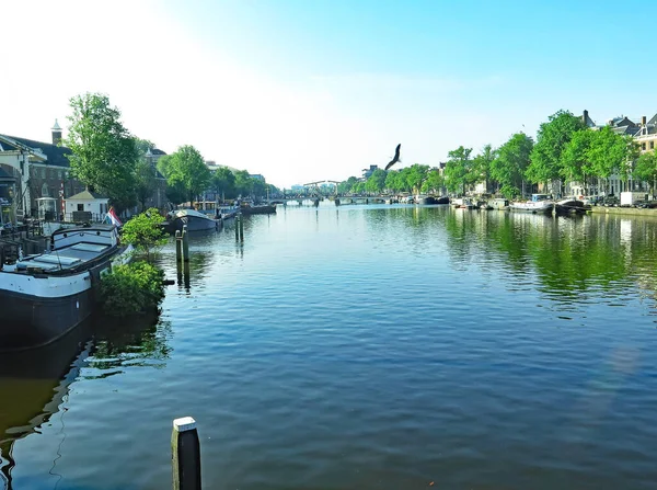 Amsterdam Olanda Paesi Bassi Luglio 2016 Paesi Bassi Europa — Foto Stock