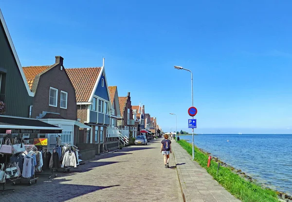 Paesaggio Dei Paesi Bassi Ore Giugno 2016 Olanda Europa — Foto Stock