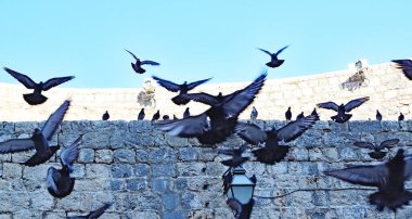 Dubrovnik, Hırvatistan, 13: 15; 20 Temmuz 2016; Avrupa