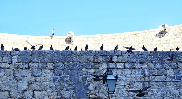 Overzicht Van Dubrovnik Kroatië Uur Juli 2016 Europa — Stockfoto