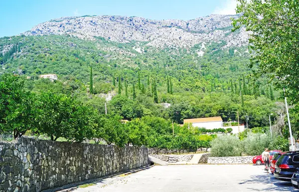 Dubrovnik Hırvatistan Temmuz 2016 Avrupa — Stok fotoğraf