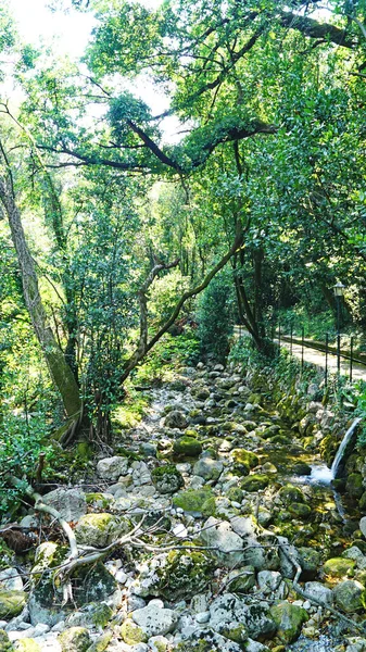 River Dubrovnikr Temmuz 2016 Hırvatistan Avrupa — Stok fotoğraf