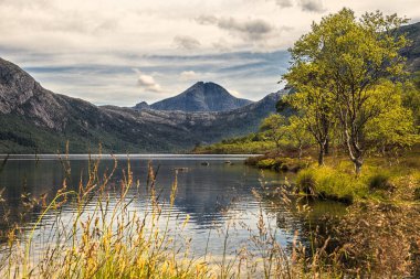 Myrdalsvatnet, Norveç Dağlarda güzel bir göl