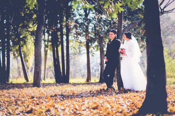 在秋天的森林里举行婚礼 — 图库照片