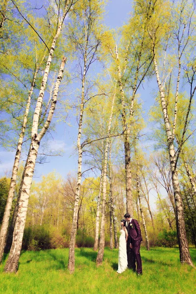 Hochzeitspaar Zwischen Blühenden Bäumen Birkenhain — Stockfoto