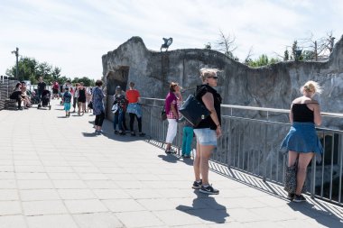 Helsinki, Finlandiya - 18 Haziran 2018: Helsinki, Finlandiya için Korkeasaari Hayvanat Bahçesi'nde ayılar bakarak ziyaretçi.