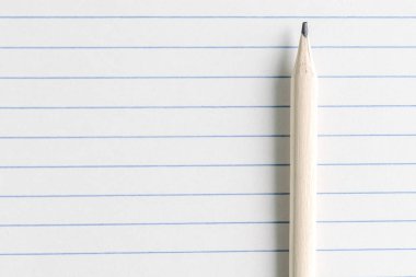 Bu portre görünümünde çizgili bir kağıt bir kalem ile üzerinden. Geri okul kavramı. Ofis, banka donatımı.