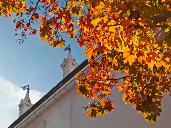 Vologda kentinde Diriliş Katedrali girişinde güneşli bir sonbahar gününde parlak akçaağaç