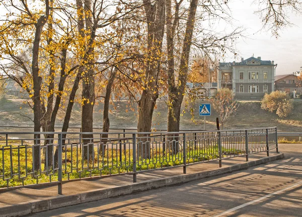 Vologda Nehri'nin dolguüzerinde sabah ışığı ile aydınlatılan ağaçlar