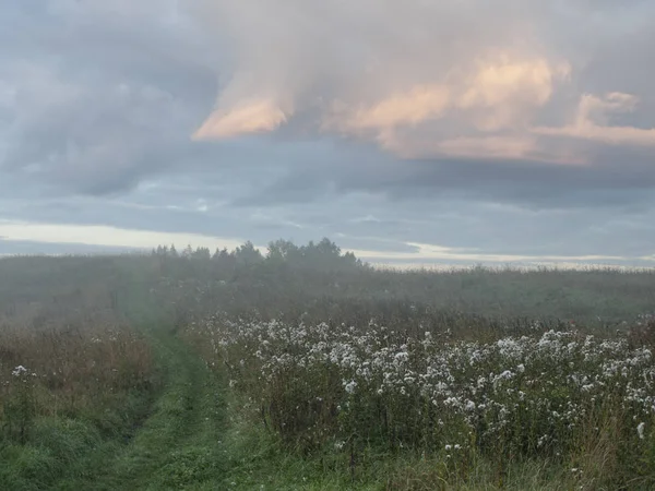 Terk edilmiş bir tarlada, güneşin gün batımı ışınlarıyla aydınlatılan büyük beyaz bir buluta karşı otlarla büyümüş bir yol
