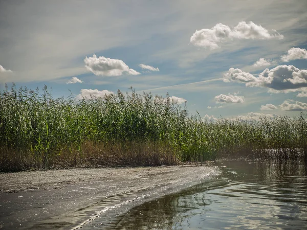 Değiştirilebilir bulutlu parlak güneşli rüzgarlı Ağustos gününde Vozhe Gölü manzarası