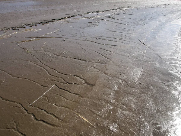 Vozhe Gölü'nün kuma benzer silty kıyısı