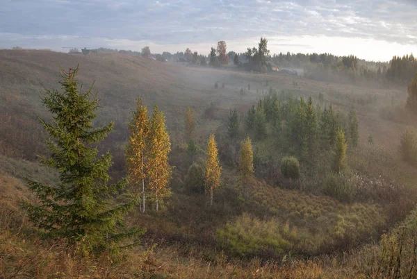 Vologda bölgesinin Kirillovsky ilçesinin Gorodishche köyü yakınlarında yükselen güneşin ışınları karmaşık kabartma genç bir orman ile büyümüş ekilebilir arazi bir arsa üzerinde sis (Krutik yolu)