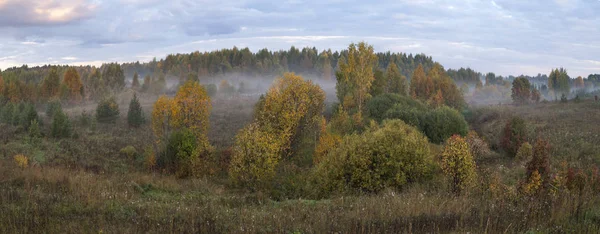 Vologda bölgesinin Kirillovsky ilçesinin Gorodishche köyü yakınlarında yükselen güneşin ışınları karmaşık kabartma genç bir orman ile büyümüş ekilebilir arazi bir arsa üzerinde sis (Krutik yolu)