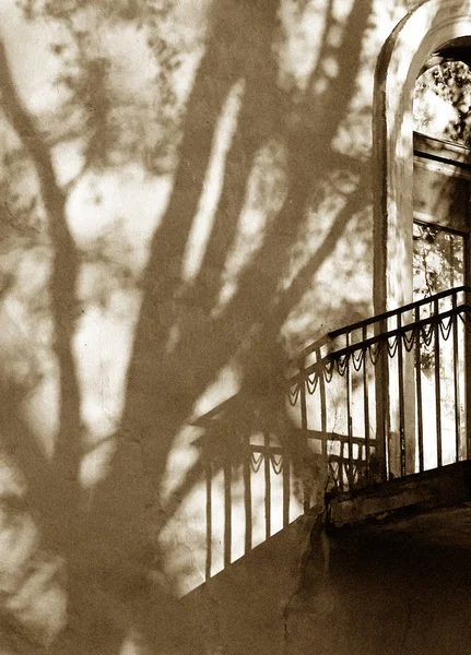 Bir duvar parçası üzerinde bir ağacın gölgeleri ve eski bir iki katlı binada bir balkon