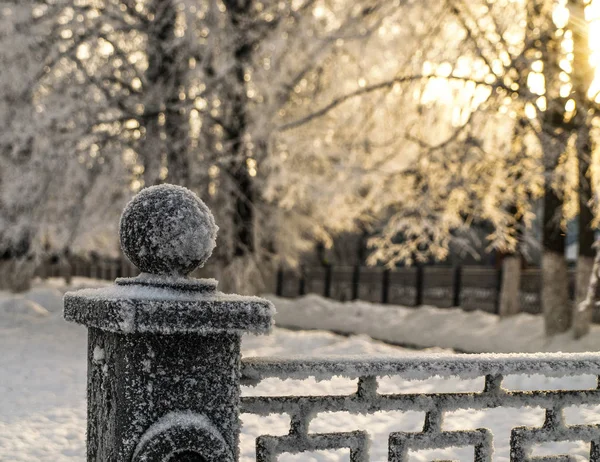 Kış güneşli soğuk gün. Hoarfrost ağaçlar ve korkuluklar
