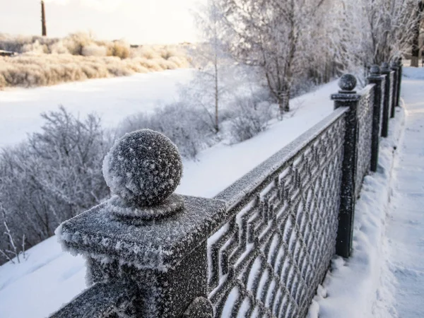 Kış güneşli soğuk gün. Hoarfrost ağaçlar ve korkuluklar