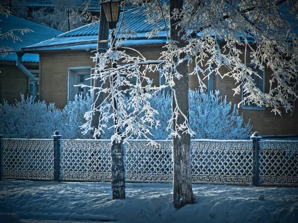 Kış güneşli soğuk gün. Hoarfrost ağaçlar ve korkuluklar
