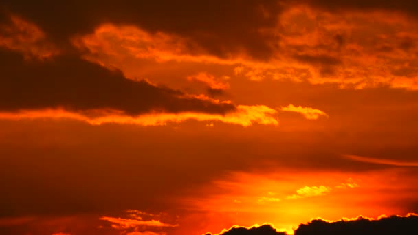 Puesta Sol Orilla Del Lago Sonido — Vídeos de Stock