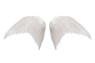 Beyaz kanatları beyaz arka plan üzerinde izole