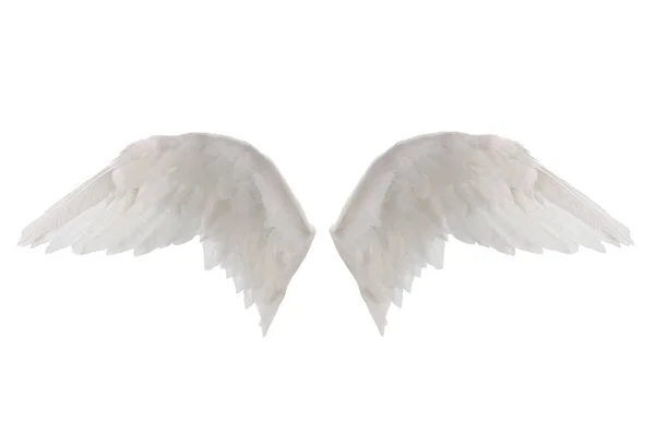 Weiße Flügel Isoliert Auf Weißem Hintergrund — Stockfoto