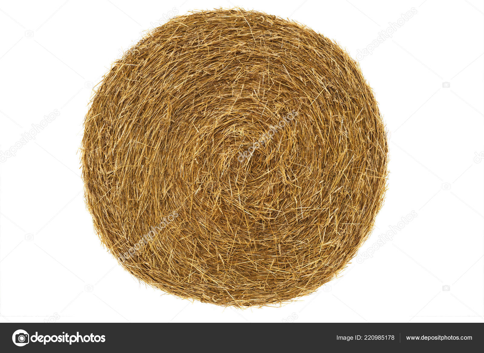 Hay Bale Isolated White Background Stock Photo by ©bazil 220985178 Hay Bale Isolated White Background Stock Photo by ©bazil 220985178