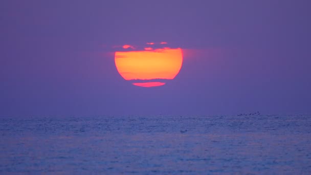 Большое Солнце Восходит Над Морем Рано Утром — стоковое видео