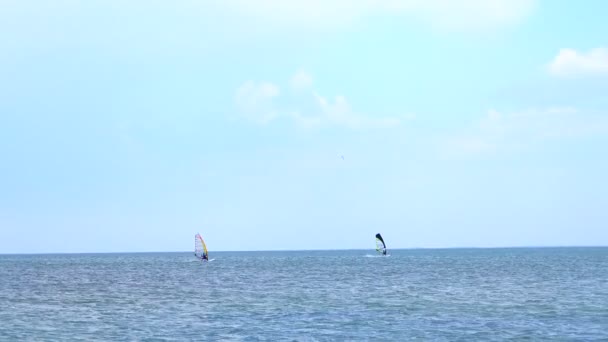 Silhouette Windsurfer Sul Mare Suono — Video Stock